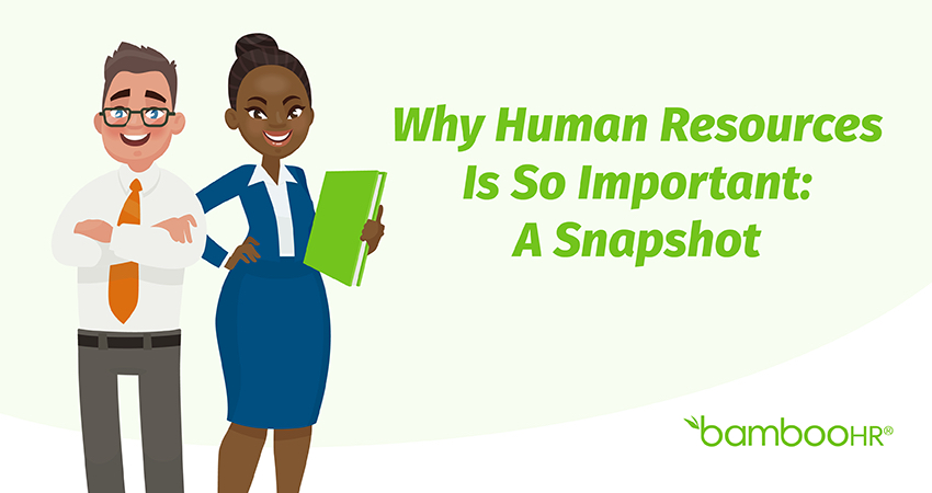 Why Human Resources Is So Important: A Snapshot