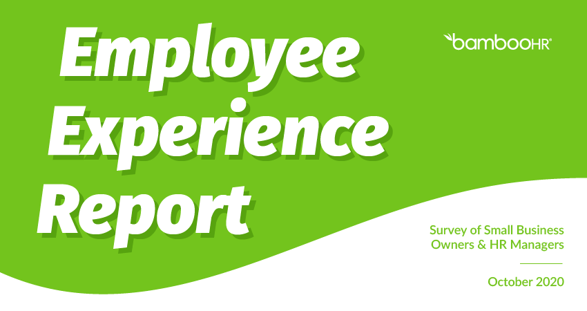 The Employee Experience Report