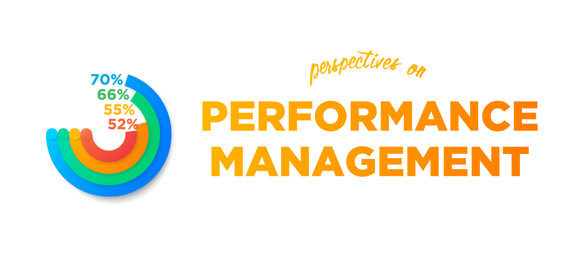 Perspectives on Performance Management